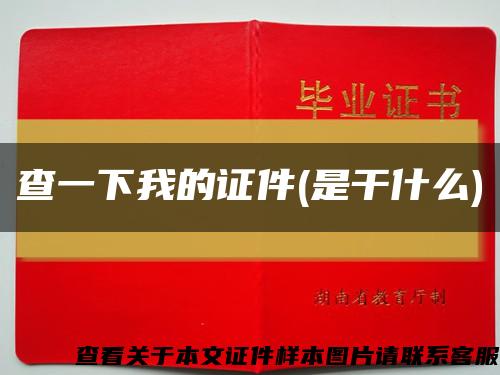 查一下我的证件(是干什么)缩略图