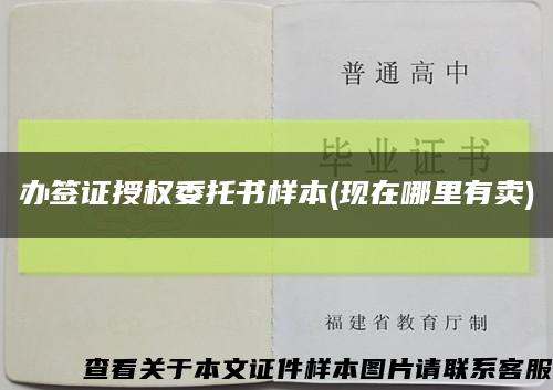 办签证授权委托书样本(现在哪里有卖)缩略图