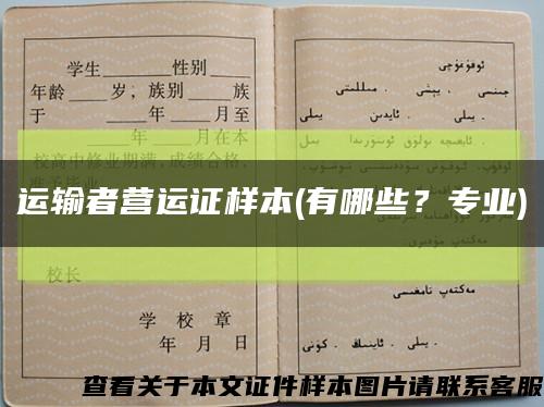 运输者营运证样本(有哪些？专业)缩略图