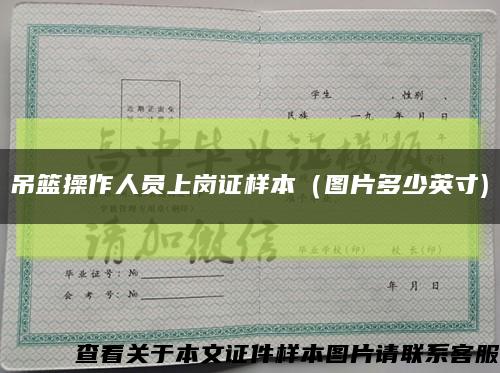 吊篮操作人员上岗证样本（图片多少英寸)缩略图