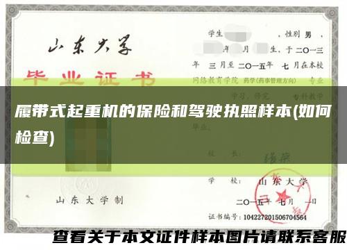 履带式起重机的保险和驾驶执照样本(如何检查)缩略图