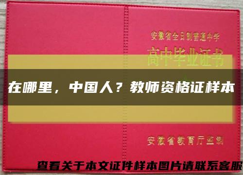 在哪里，中国人？教师资格证样本缩略图