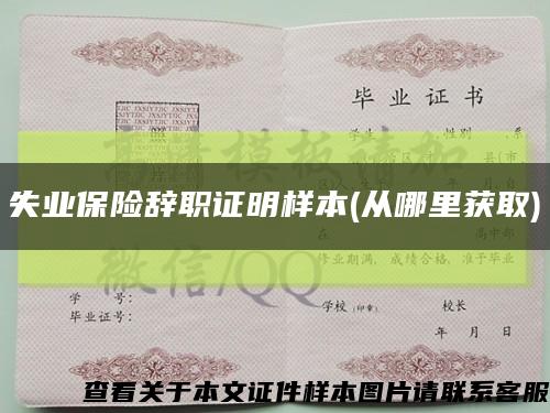 失业保险辞职证明样本(从哪里获取)缩略图