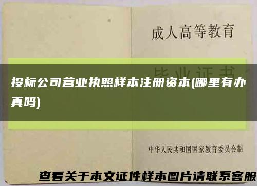 投标公司营业执照样本注册资本(哪里有办真吗)缩略图