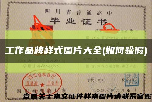 工作品牌样式图片大全(如何验假)缩略图