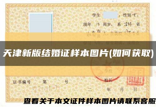 天津新版结婚证样本图片(如何获取)缩略图