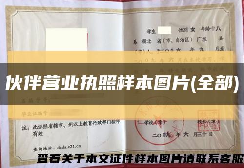 伙伴营业执照样本图片(全部)缩略图