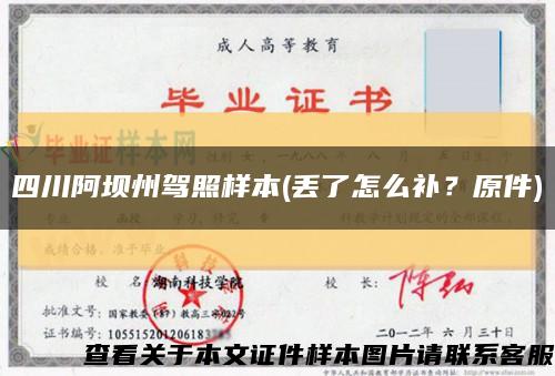 四川阿坝州驾照样本(丢了怎么补？原件)缩略图