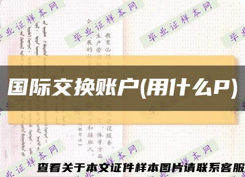 国际交换账户(用什么P)缩略图