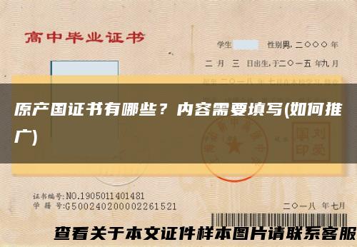 原产国证书有哪些？内容需要填写(如何推广)缩略图