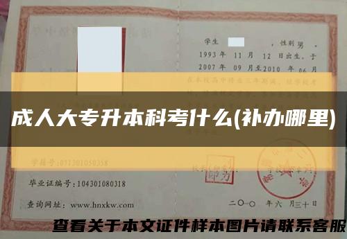 成人大专升本科考什么(补办哪里)缩略图