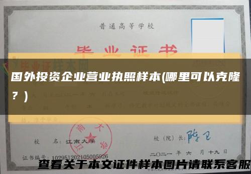国外投资企业营业执照样本(哪里可以克隆？)缩略图