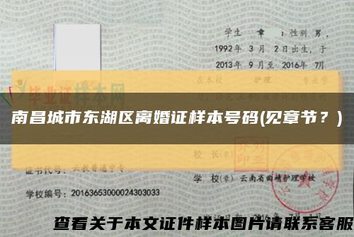 南昌城市东湖区离婚证样本号码(见章节？)缩略图