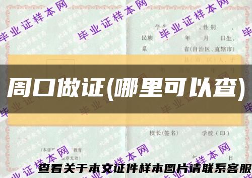 周口做证(哪里可以查)缩略图