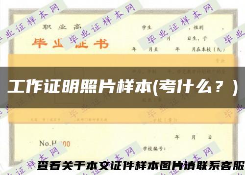 工作证明照片样本(考什么？)缩略图