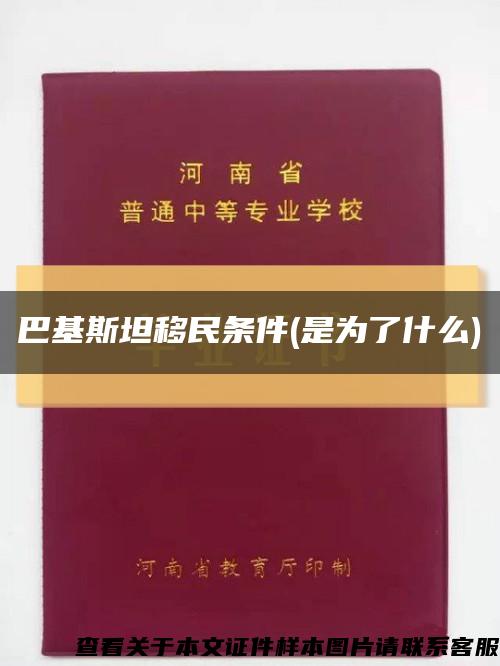 巴基斯坦移民条件(是为了什么)缩略图