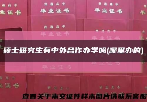硕士研究生有中外合作办学吗(哪里办的)缩略图