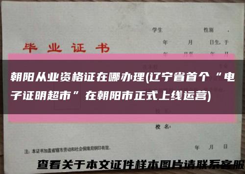 朝阳从业资格证在哪办理(辽宁省首个“电子证明超市”在朝阳市正式上线运营)缩略图