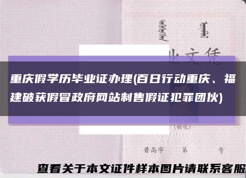 重庆假学历毕业证办理(百日行动重庆、福建破获假冒政府网站制售假证犯罪团伙)缩略图