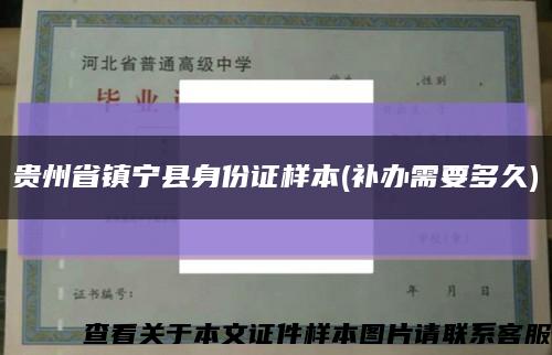 贵州省镇宁县身份证样本(补办需要多久)缩略图