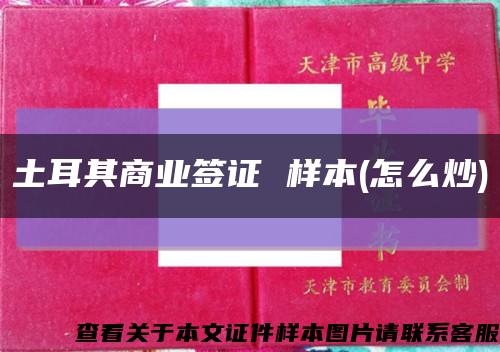 土耳其商业签证 样本(怎么炒)缩略图