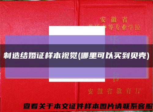 制造结婚证样本视觉(哪里可以买到贝壳)缩略图