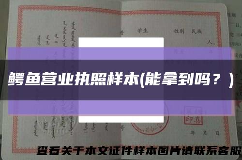 鳄鱼营业执照样本(能拿到吗？)缩略图