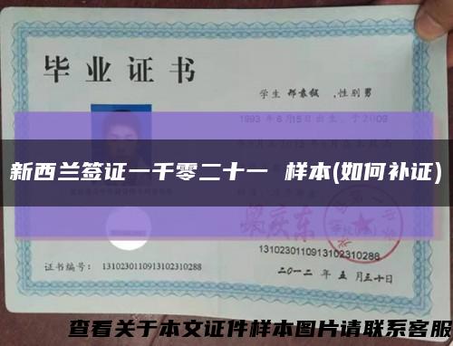 新西兰签证一千零二十一 样本(如何补证)缩略图