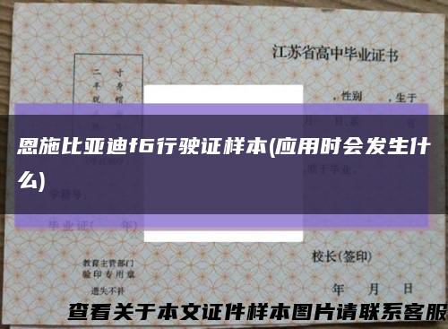 恩施比亚迪f6行驶证样本(应用时会发生什么)缩略图