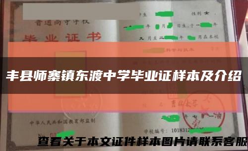 丰县师寨镇东渡中学毕业证样本及介绍缩略图