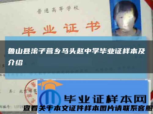 鲁山县滚子营乡马头赵中学毕业证样本及介绍缩略图