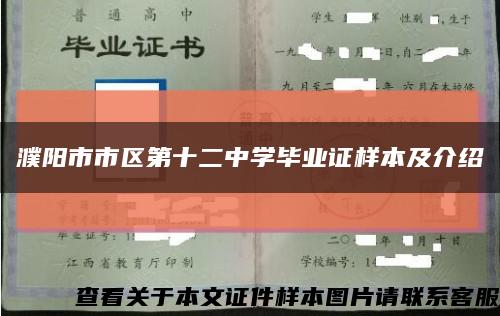 濮阳市市区第十二中学毕业证样本及介绍缩略图