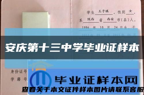 安庆第十三中学毕业证样本缩略图