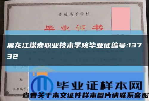 黑龙江煤炭职业技术学院毕业证编号:13732缩略图