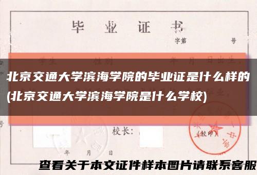 北京交通大学滨海学院的毕业证是什么样的(北京交通大学滨海学院是什么学校)缩略图