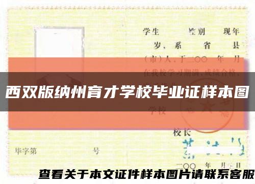 西双版纳州育才学校毕业证样本图缩略图