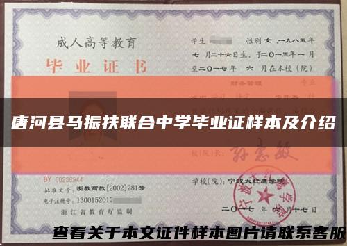 唐河县马振扶联合中学毕业证样本及介绍缩略图