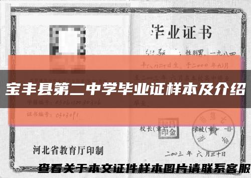 宝丰县第二中学毕业证样本及介绍缩略图