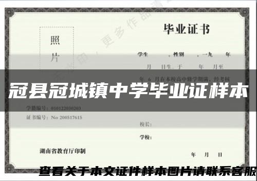 冠县冠城镇中学毕业证样本缩略图