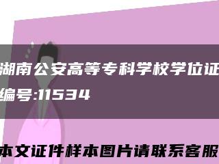 湖南公安高等专科学校学位证编号:11534缩略图