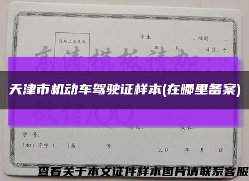 天津市机动车驾驶证样本(在哪里备案)缩略图