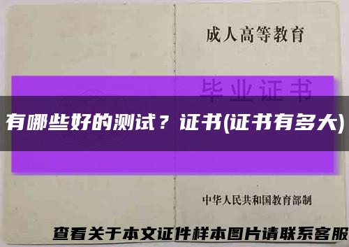 有哪些好的测试？证书(证书有多大)缩略图