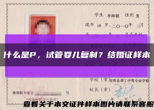 什么是P，试管婴儿复制？结婚证样本缩略图