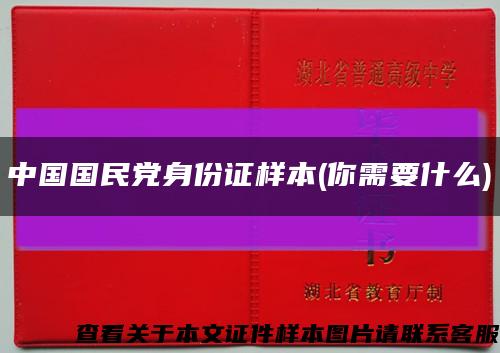中国国民党身份证样本(你需要什么)缩略图