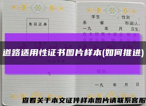 道路适用性证书图片样本(如何推进)缩略图