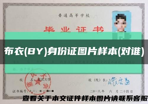 布衣(BY)身份证图片样本(对谁)缩略图