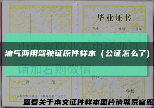 油气两用驾驶证原件样本（公证怎么了)缩略图