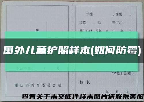 国外儿童护照样本(如何防霉)缩略图