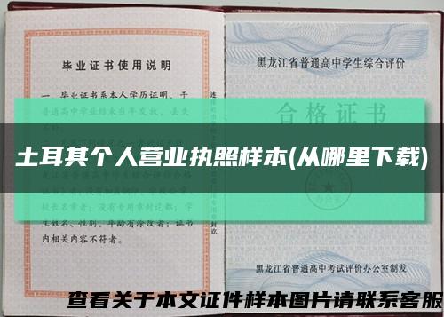 土耳其个人营业执照样本(从哪里下载)缩略图