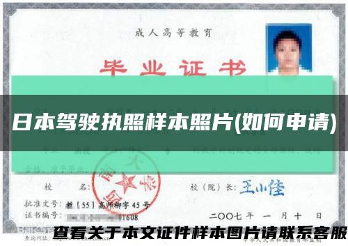 日本驾驶执照样本照片(如何申请)缩略图